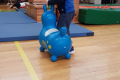1-Minis-02