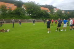img-20210706-wa00143007050179598441437